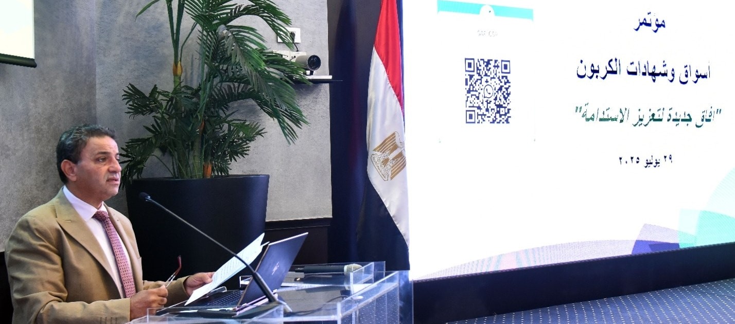 Egypt's annual exports to EU reach $14B: GAFI

